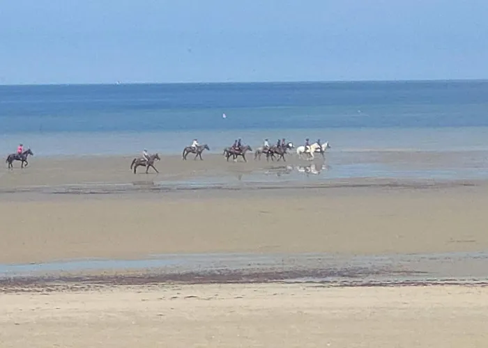 Beau * Fontenay-sur-Mer